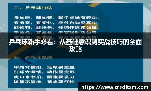 乒乓球新手必看:从基础意识到实战技巧的全面攻略