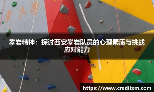中欧体育
