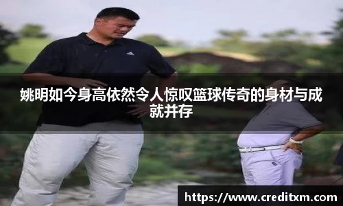 zoty中欧