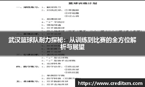 武汉篮球队耐力探秘：从训练到比赛的全方位解析与展望