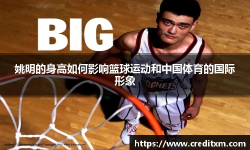 zoty中欧官方网站