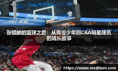 zoty中欧