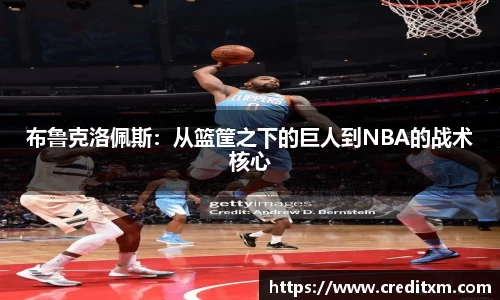 布鲁克洛佩斯:从篮筐之下的巨人到NBA的战术核心