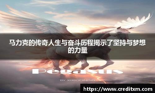 zoty中欧官网