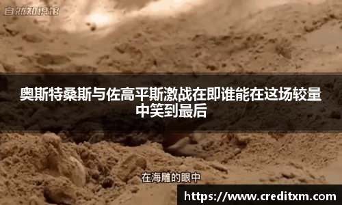 奥斯特桑斯与佐高平斯激战在即谁能在这场较量中笑到最后