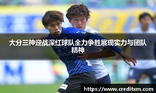 zoty中欧官网