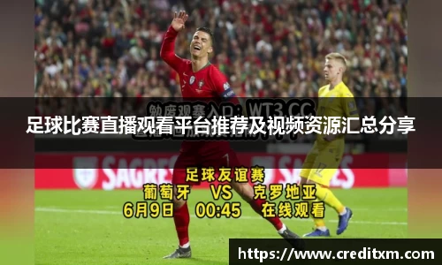 zoty中欧