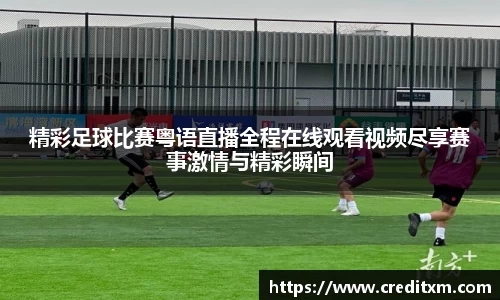 中欧体育